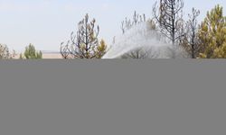 Amasya'da otluk arazide çıkıp ormanlık alana sıçrayan yangın söndürüldü