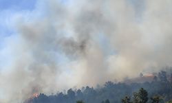 Balıkesir'de çıkan orman yangınına müdahale ediliyor
