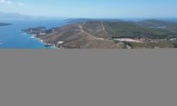 Bodrum Güvercinlik'te 4 yıl önce yanan alanlar dikilen fidanlarla yeşeriyor