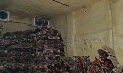 Bursa'da hijyen kurallarına aykırı et depolayan ruhsatsız işletme mühürlendi