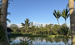 Doğayla bütünleşmenin adresi Bali, sosyal medya turizmiyle sınanıyor