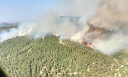 GÜNCELLEME - Balıkesir'de çıkan orman yangınına müdahale ediliyor