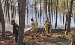 GÜNCELLEME - Çankırı'nın Ilgaz ilçesinde ormanlık alanda çıkan yangın kontrol altına alındı