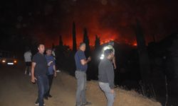 İzmir'in Ödemiş ilçesinde ormanlık alanda çıkan yangına müdahale ediliyor