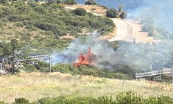 Kocaeli'de makilik alanda çıkan yangın kontrol altına alındı