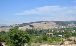 Kuzey Makedonya Kosova sınırı yakınlarında yangın
