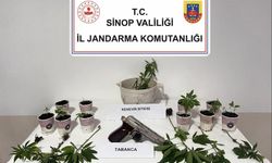 Sinop'ta uyuşturucu operasyonunda 4 kişi yakalandı