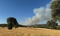 Uşak ile Manisa'daki yangınlara havadan ve karadan müdahale ediliyor