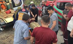 Adana'nın İmamoğlu ilçesindeki orman yangını kontrol altına alındı