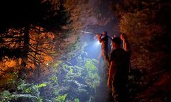 Arnavutluk'taki orman yangınlara müdahale devam ediyor