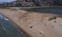 Caretta carettalara ev sahipliği yapan İztuzu Sahili'nde yuva sayısı 800'e ulaştı