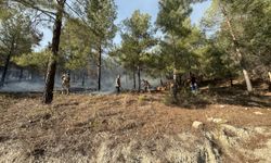GÜNCELLEME - Adıyaman'daki ormanlık alanda çıkan yangın kontrol altında