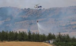 GÜNCELLEME - Bursa'da ormanlık alanda çıkan yangın kontrol altına alındı