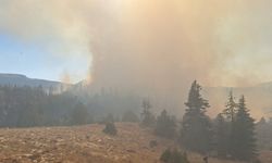 GÜNCELLEME - Karaman'da ormanlık alanda çıkan yangınlara müdahale sürüyor