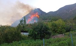 Hatay Kırıkhan'da orman yangını çıktı