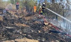 Hatay'da ormanlık alanda çıkan yangın söndürüldü