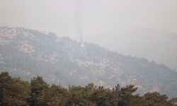 Mersin'in Silifke ilçesindeki orman yangınına müdahale sürüyor