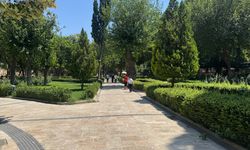 Şanlıurfa'da termometreler 48 dereceyi gösterdi
