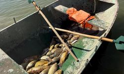 Van'da kaçak balık avlayan 2 kişiye 25 bin 670 lira para cezası verildi