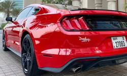 Across Continents in Comfort Brits, Turks, and the New UAE Road Culture