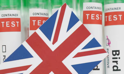 İngiltere'de H5N1 kuş gribi salgını