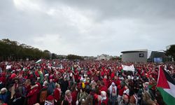Hollanda'da yaklaşık 250 bin kişiden İsrail'i protesto