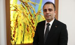 AB'den tam not alan İpsala pirinci dünya markası olma hedefiyle üretilecek