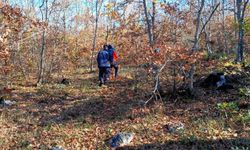 GÜNCELLEME 2 - Bursa'da mantar toplamak için gittiği ormanlık alanda kaybolan kişi bulundu