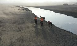 'Ağrı Dağı'nın kovboyları' eğittikleri yılkı atlarıyla sürüleri kontrol ediyor