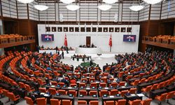 Aile ve Sosyal Hizmetler Bakanı Göktaş, Meclis'te gazetecilerin sorularını yanıtladı: