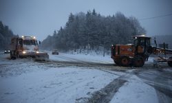 Anadolu Otoyolu ile D-100 kara yolunun Bolu Dağı geçişinde kar etkili oluyor