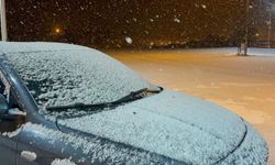 Ardahan'ın yüksek kesimlerinde kar etkili oluyor