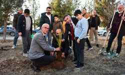 Batman Üniversitesi'nde 3 Aralık Dünya Engelliler Günü etkinliği