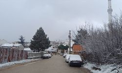 Bilecik'te kar yağışı etkili oldu