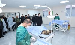 Bitlis Valisi Karakaya hayvan bakımevindeki kış hazırlıklarını inceledi