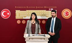 DEM Parti milletvekilleri, Mecliste basın toplantısı düzenledi