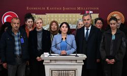 DEM Parti'li Aslan, 11. Yargı Paketi'ndeki 'Kovid-19' düzenlemesini eleştirdi