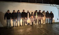 Edirne'de 13 düzensiz göçmen yakalandı