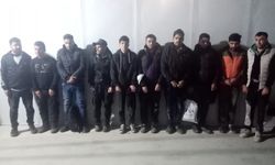 Edirne'de 20 düzensiz göçmen yakalandı