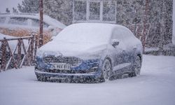 Erzurum'da kar yağışı etkili oluyor