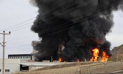 GÜNCELLEME 2 - Kırıkkale OSB'de bir fabrikada çıkan yangına müdahale ediliyor