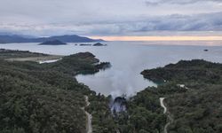 GÜNCELLEME - Fethiye'de kamp alanında çıkan yangın kontrol altına alındı