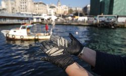 Haliç'te 'Deniz Dibinden Olta Kurşunlarının Çıkarılması' etkinliği yapıldı