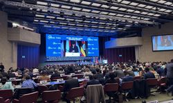 'İkinci Küresel Mülteci Forumu İlerleme Değerlendirmesi' programı Cenevre'de başladı