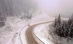 Ilgaz Dağı'nda kar ve sis etkili oldu