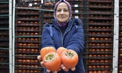 Kadın girişimci devlet desteğiyle kurduğu soğuk hava deposunda köylülerin meyvelerini saklıyor