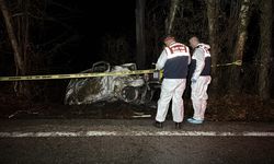 Karabük'te ağaca çarpan hafif ticari aracın sürücüsü öldü