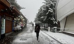 Karadeniz'de kar etkili oldu