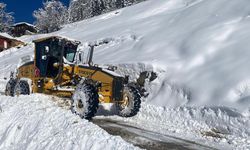 Karadeniz'in yüksek kesimlerinde kar ve soğuk hava etkili oluyor