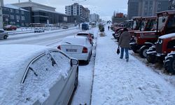 Kars ve Ardahan'da kar etkili oldu